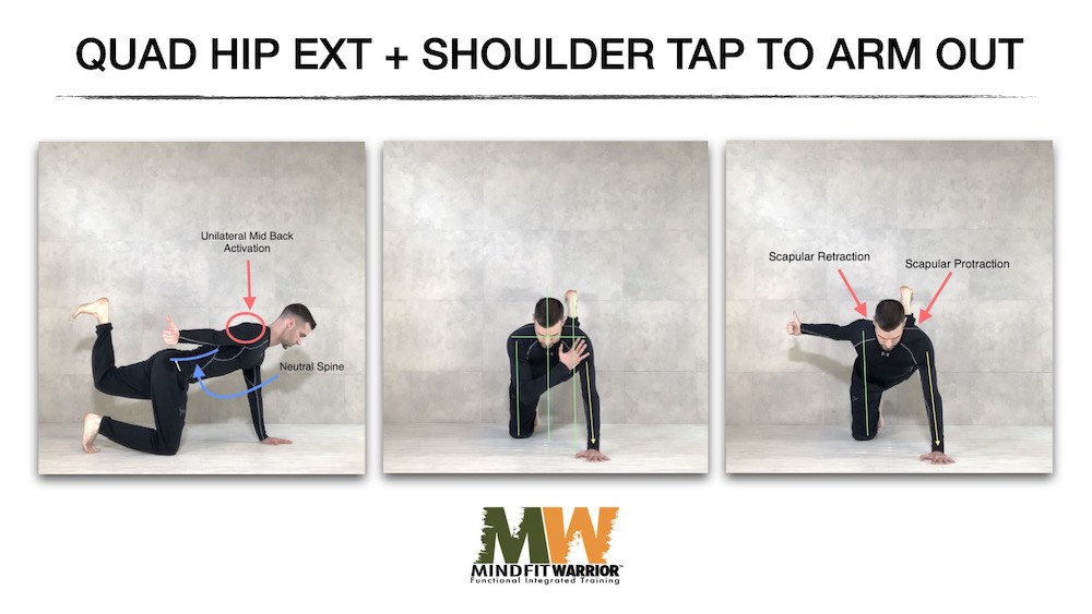 Quad Hip Extension + Shoulder Tap to Arm Out