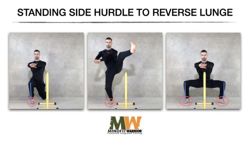 MW Standing Side Hurdle to Reverse Lunge
