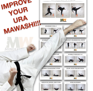 Reverse Roundhouse Kick Movement Prep Progression