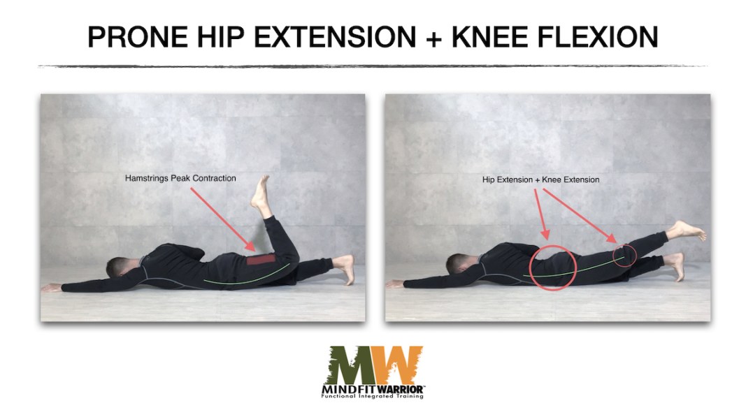 Prone Hip Extension + Knee Flexion