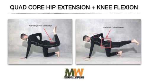 Quad Core Hip Extension + Knee Flexion