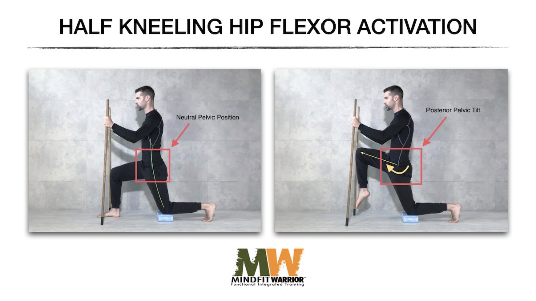 Half Kneeling Hip Flexor Activation