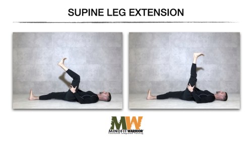 Supine Leg Extension with Assessment Score