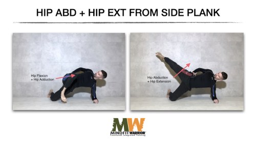 Hip Abduction + Hip Extension from Side Plank