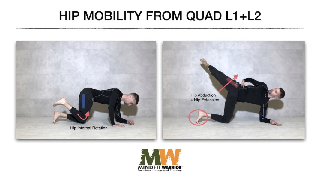 Hip Mobility from Quadruped (L1+L2)
