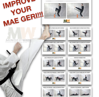 Front kick Movement Prep Progression