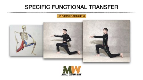 HFF SPECIFIC FUNCTIONAL TRANSFER