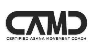 CAMC logo per web